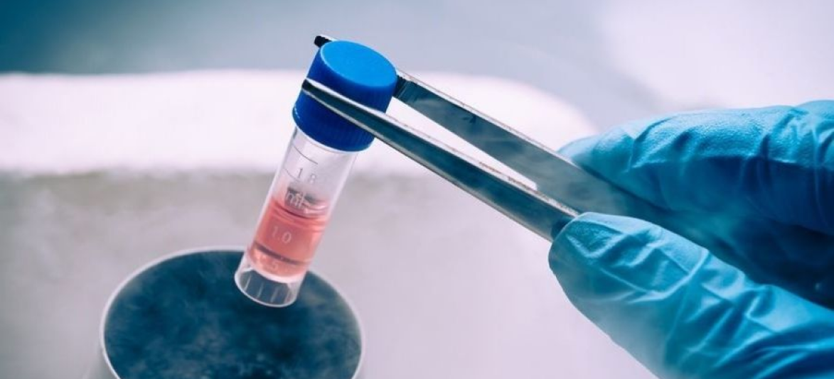 Método TCO utilizando células-tronco para regeneração óssea no HEO