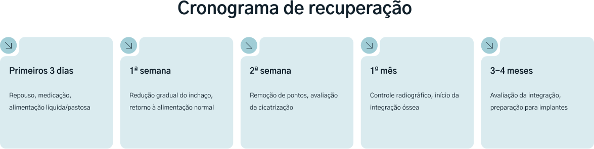 Cronograma detalhado de recuperação após implante com enxerto pelo Método TCO